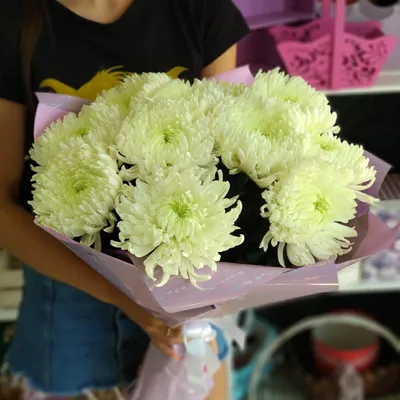 Букет из 11 одноголовых хризантем в оформлении