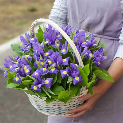 Корзина ирисов