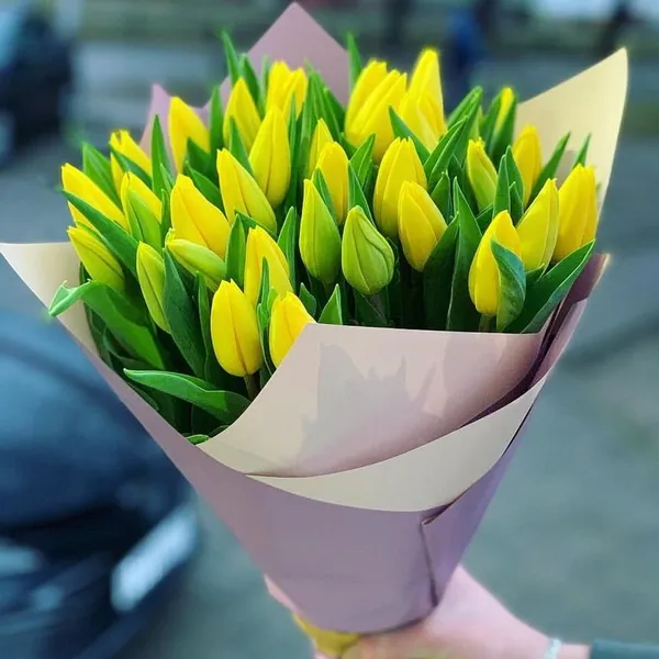 Букет из 33 желтых тюльпанов в оформлении