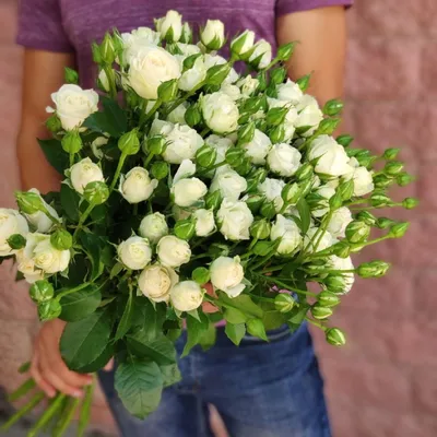 Букет из 15 белых кустовых роз