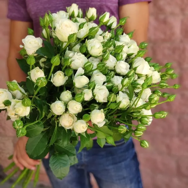 Букет из 15 белых кустовых роз