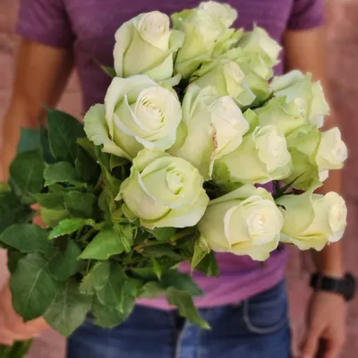 Букет из 15 белых роз 70 см