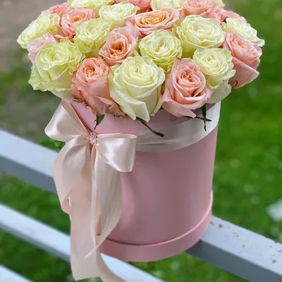 27 роз в шляпной коробке