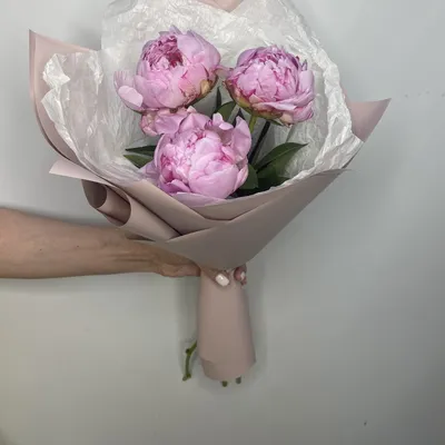 Букет из 3 пионов в оформлении