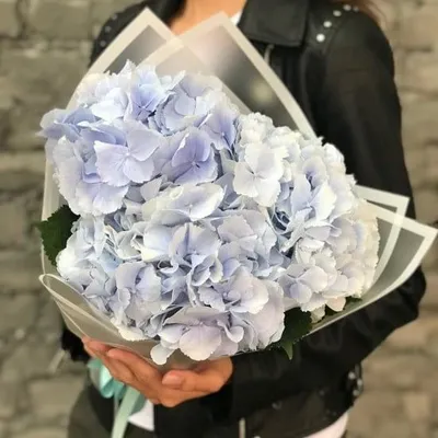 Букет из голубых гортензий S