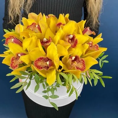 Шляпная коробка из 15 желтых орхидей