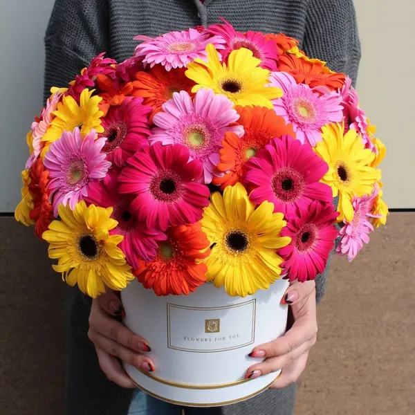 Герберы в коробке XL