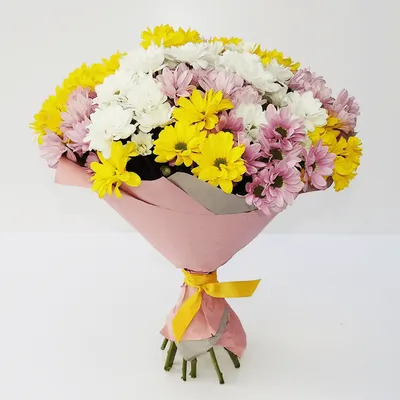 Букет из 15 хризантем в оформлении