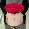 19 роз сорта "Готча" в шляпной коробке 1