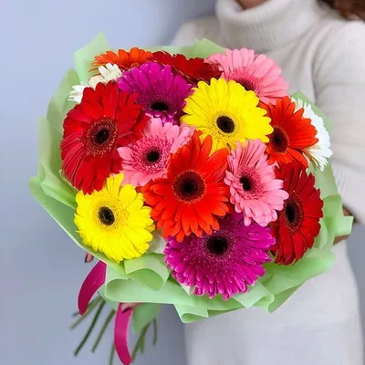 Букет из 19 гербер в оформлении