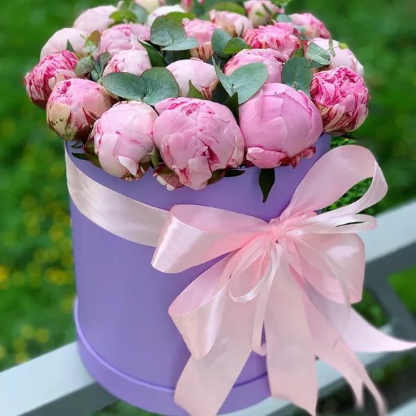 19 розовых пионов "Сара Бернар" в шляпной коробке