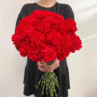 Букет из 20 гвоздик под ленту