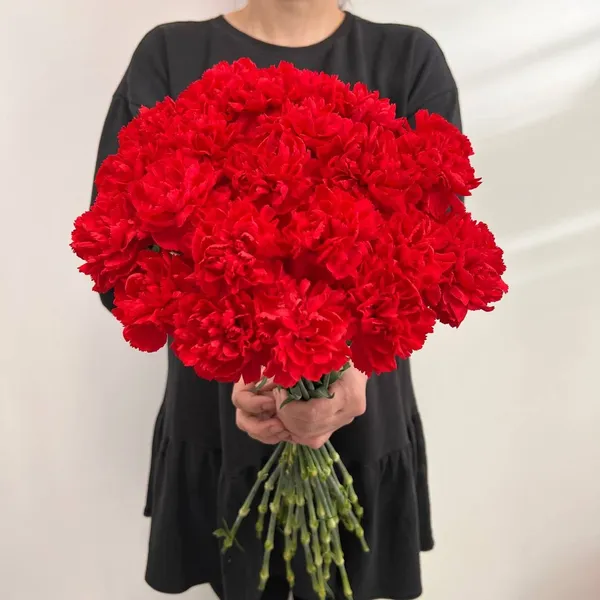 Букет из 20 гвоздик под ленту