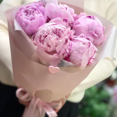 Букет из 5 пионов "Сара Бернар" в крафте