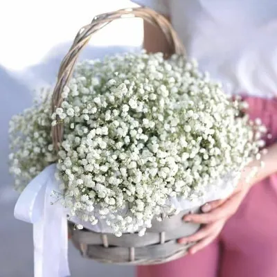 Корзина из белоснежной гипсофилы
