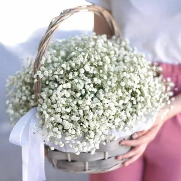 Корзина из белоснежной гипсофилы