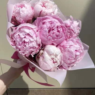 Букет из 7 пионов в нежном оформлении