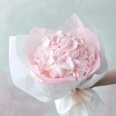 Букет из  розовых гортензий XS