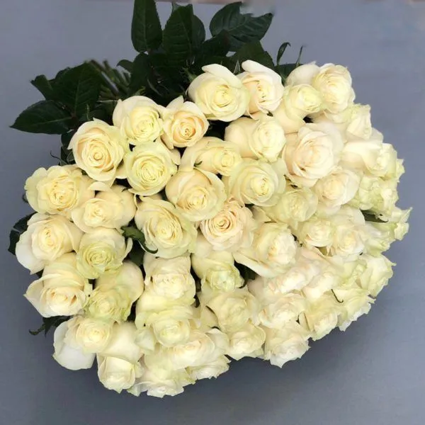 Букет 33 белых розы "Мондиаль" 60 см