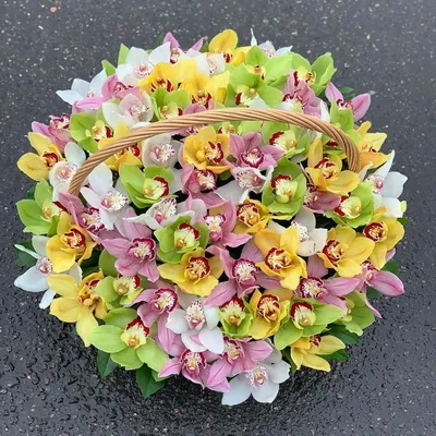 Корзина с  цветами "59 орхидей микс"