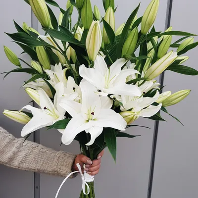 Букет из 11 белых лилий