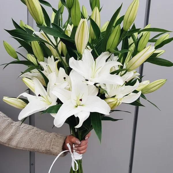 Букет из 11 белых лилий