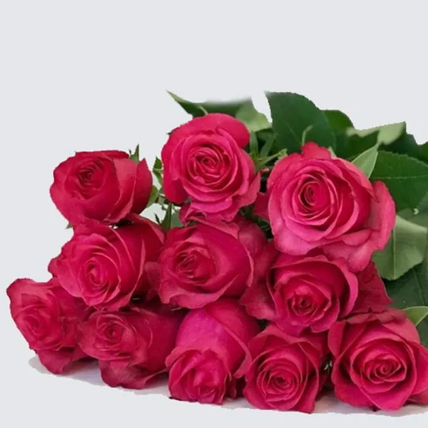 Букет из 11 розовых роз "Готча" 60 см