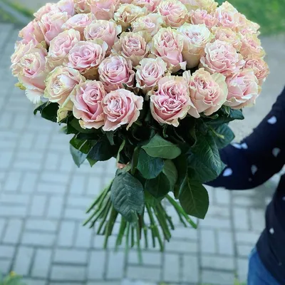 Букет из 51 розы "Пинк Мондиаль" 50 см