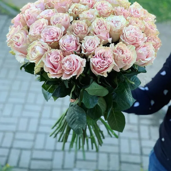 Букет из 51 розы "Пинк Мондиаль" 50 см