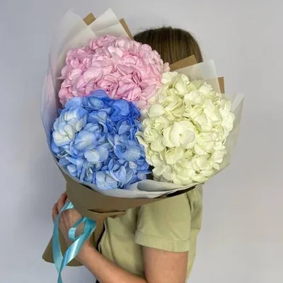 Букет из гортензий микс S