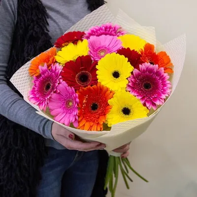 Букет из 15 гербер в оформлении