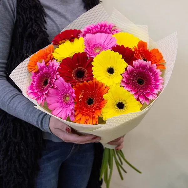 Букет из 15 гербер в оформлении