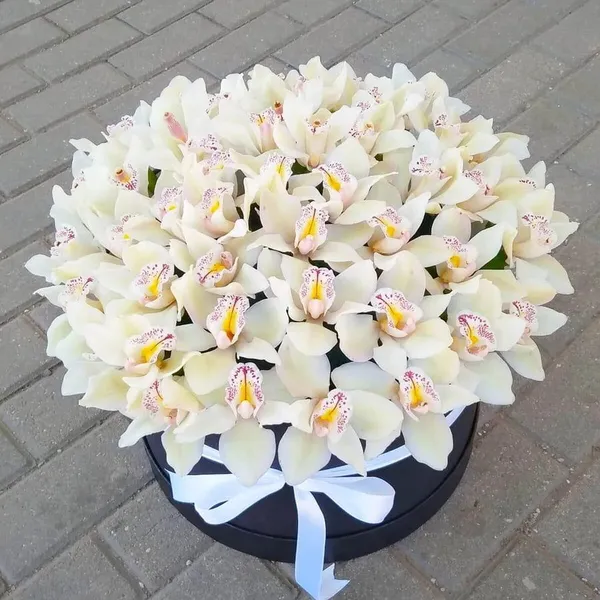 Шляпная коробка из 45 белых орхидей