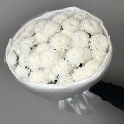 Букет из 7 белых хризантем "Алтай"