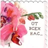Мини-открытка "От всех нас" 1