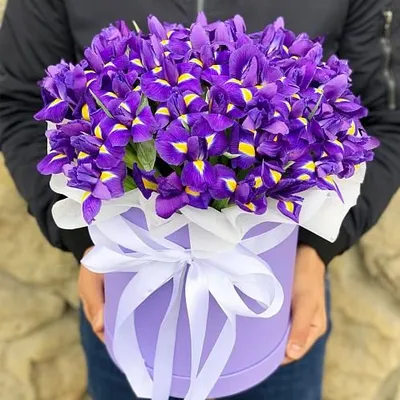 Ирисы в шляпной коробке