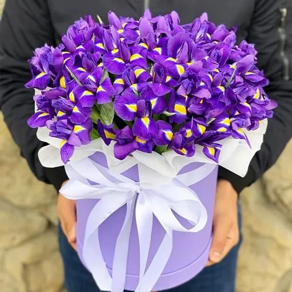 Ирисы в шляпной коробке