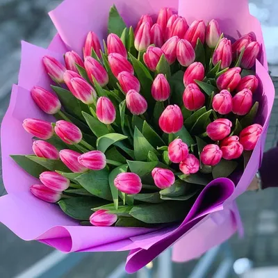 Букет из 51 розового тюльпана в оформлении