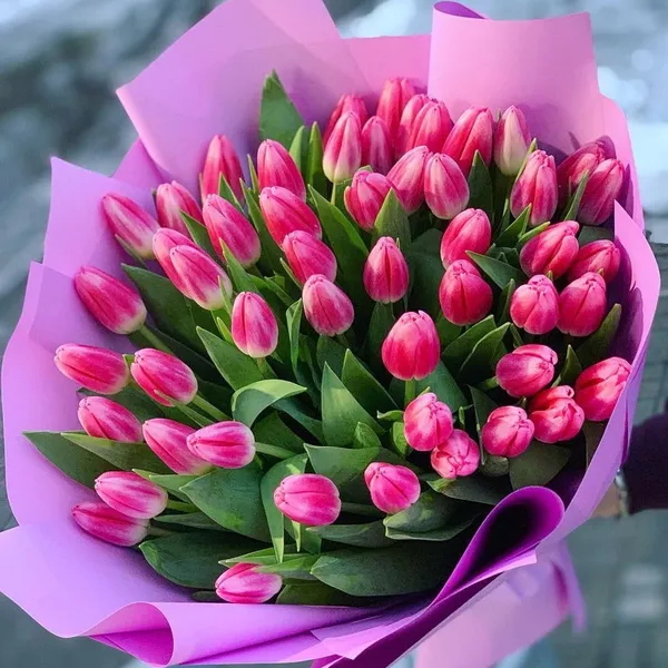 Букет из 51 розового тюльпана в оформлении