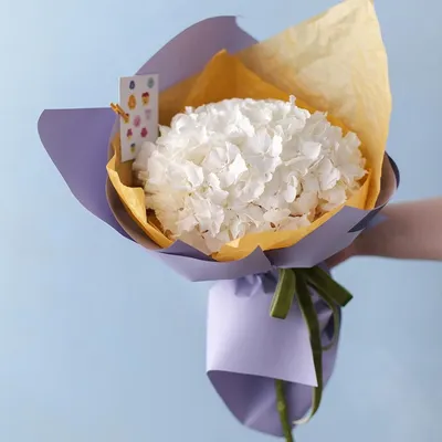 Букет из белых гортензий XS