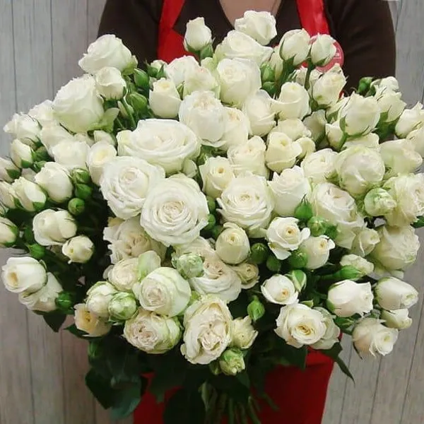 Букет из 21 белой кустовой розы