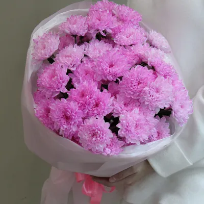 Букет из 7 розовых хризантем