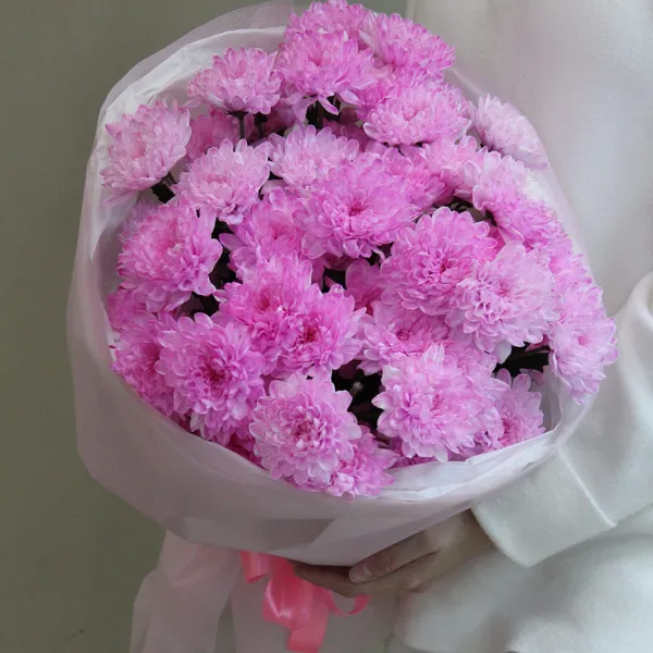 Букет из 7 розовых хризантем