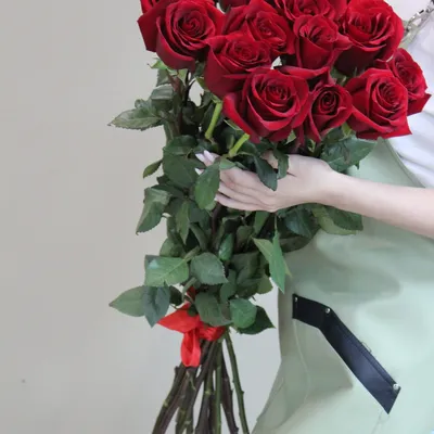 Букет из 15 эквадорских роз 100 см.