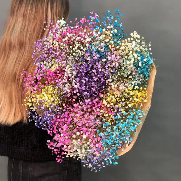 Гипсофила крашенная