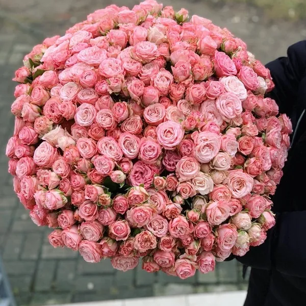 Букет из 101  кустовой розы "Мисти Баблз"