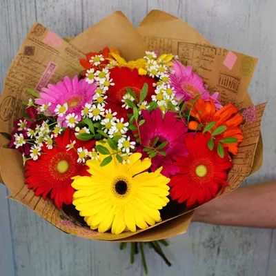 Букет из 11 гербер и ромашки
