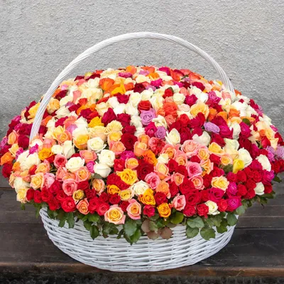 Корзина с 501 Кенийской розой микс