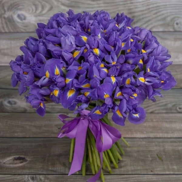 Букет из 51 ириса
