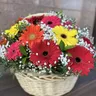 Корзина с герберой и гипсофилой 2